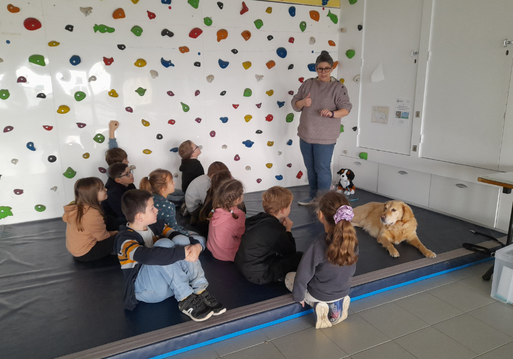 leo-pro-mediation-animale-ouest