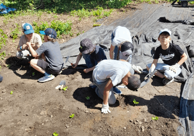 L’accueil de loisirs de Miribel s’engage pour le respect de l’environnement et de la biodiversité
