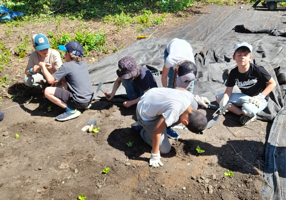 L’accueil de loisirs de Miribel s’engage pour le respect de l’environnement et de la biodiversité