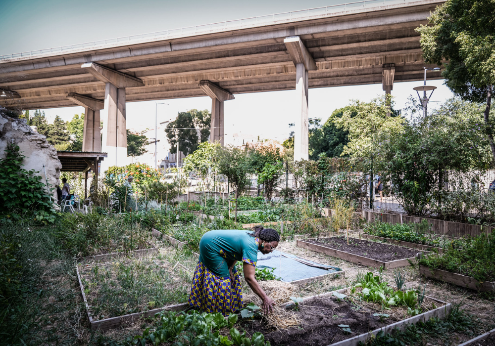Une usagère s'occupe du jardin partagé