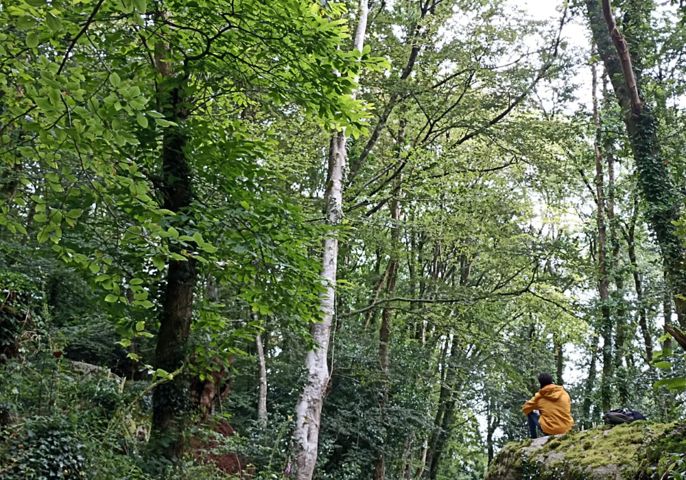 Séance sport santé avec l'association Sentier vous bien pour Léo Lagrange