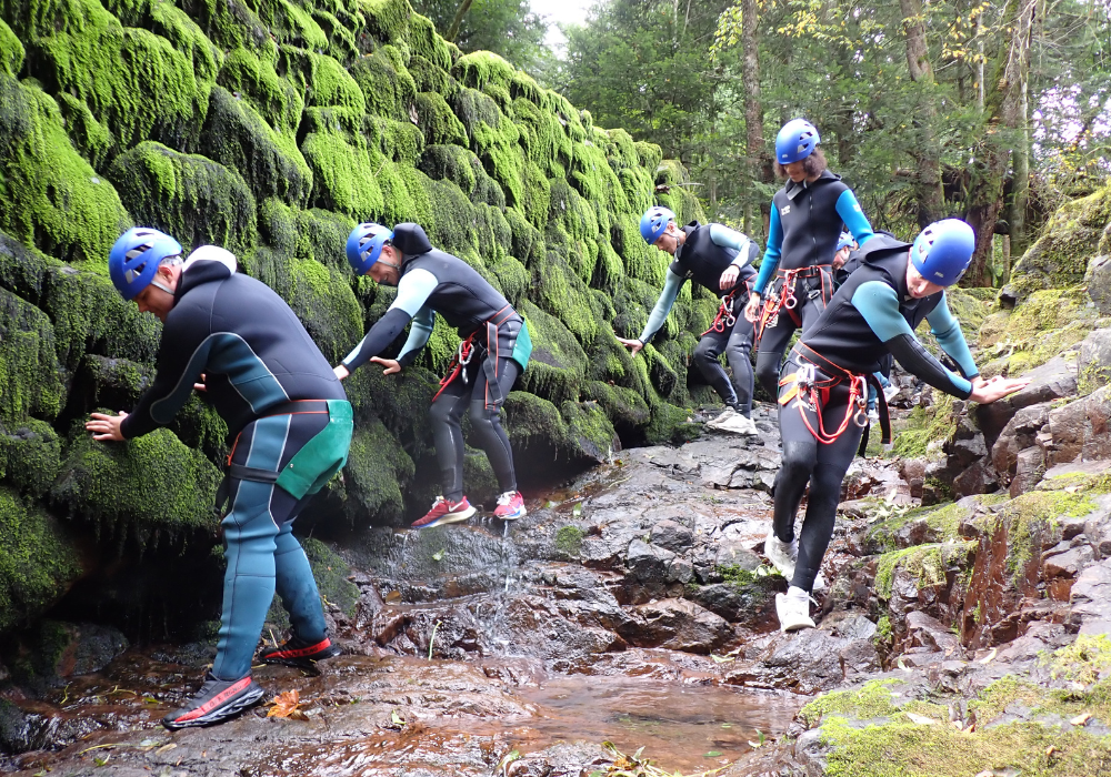 Evolution du programme Léo Sport Job : l'exemple dans les Hauts-de-France