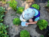 Potager du Cabanon de Miribel