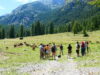 Hors Pistes