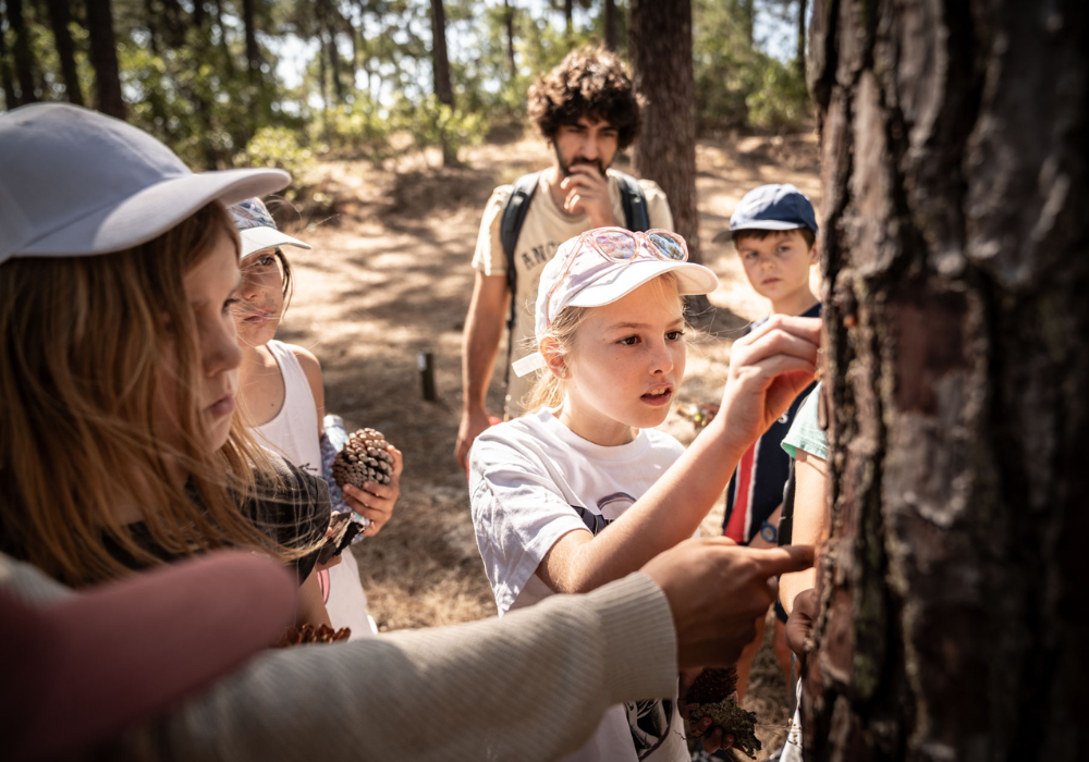Pour le droit aux vacances de toutes et tous : une journée en colo avec LLA - balade en forêt